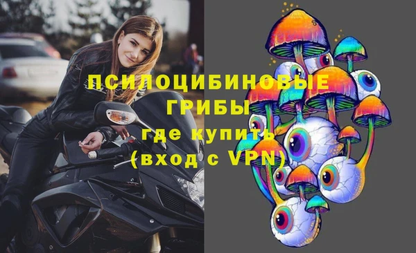 мяу мяу мука Алексеевка